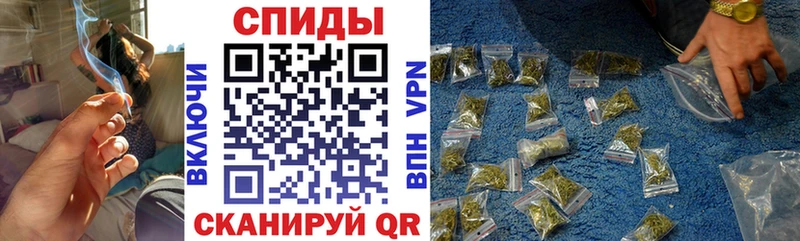 блэк спрут зеркало  Алушта  Бутират буратино 