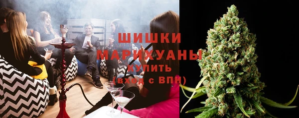 винт Алзамай